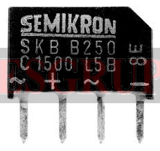 SKB B250 C1500L5B